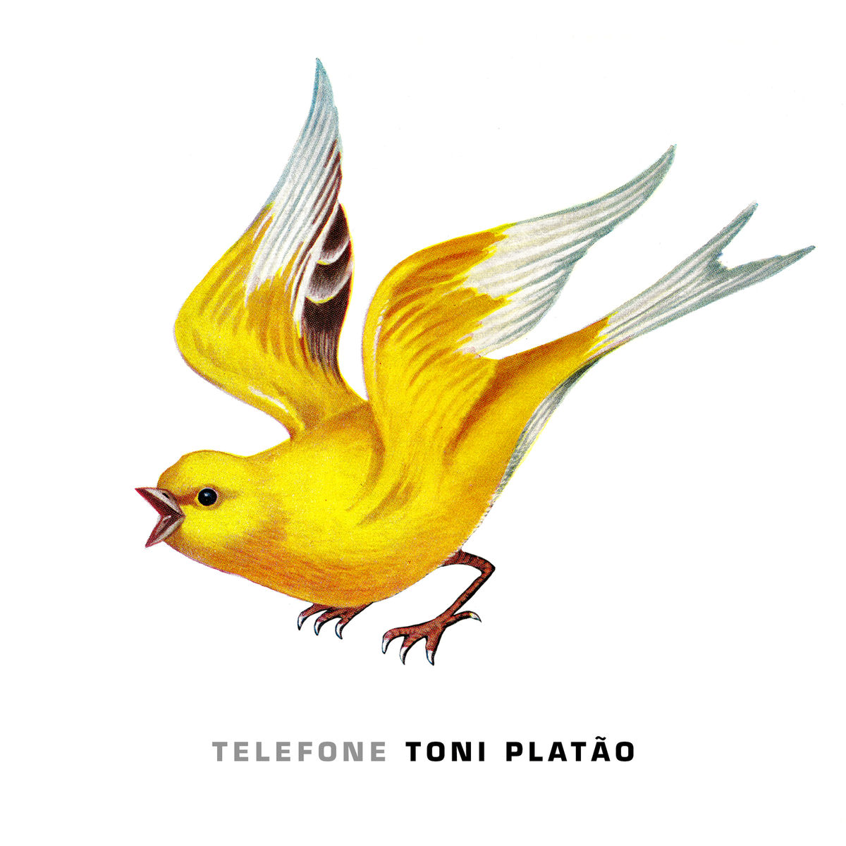 Album cover of Telefone