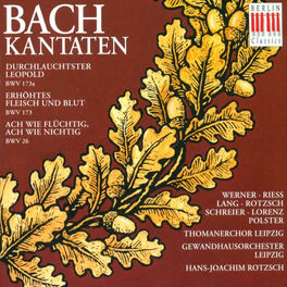 Johann Sebastian Bach: Cantatas - BWV 26, 173, 173a (Rotzsch)