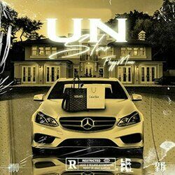 Cover of un star