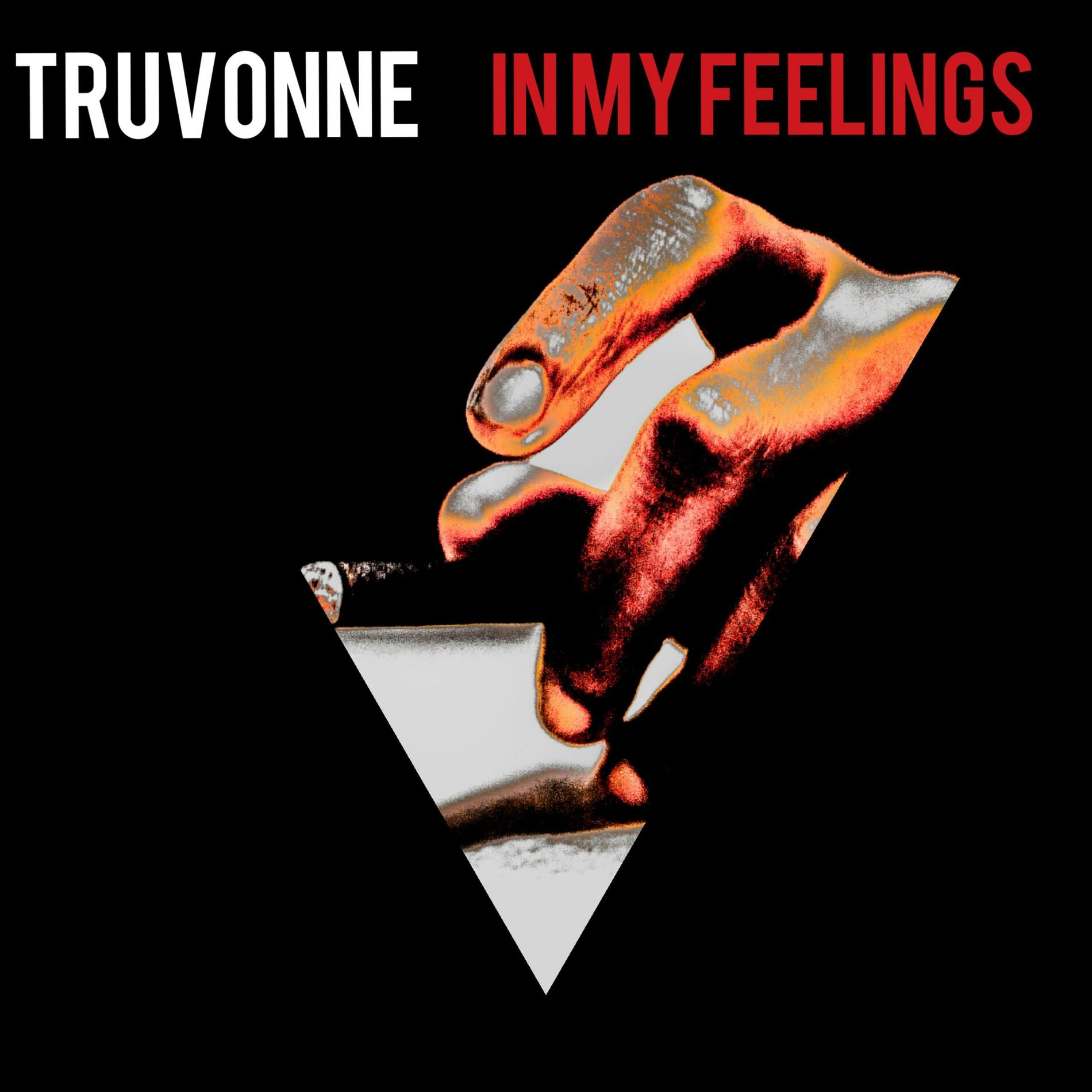 Album cover of IN MY Feelings
