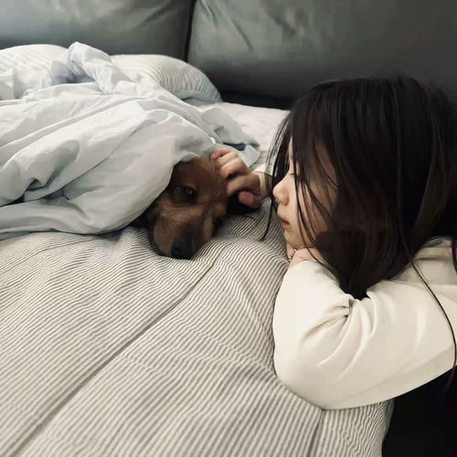 侧脸