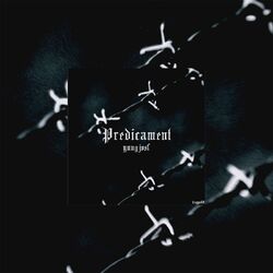Cover of Predicament