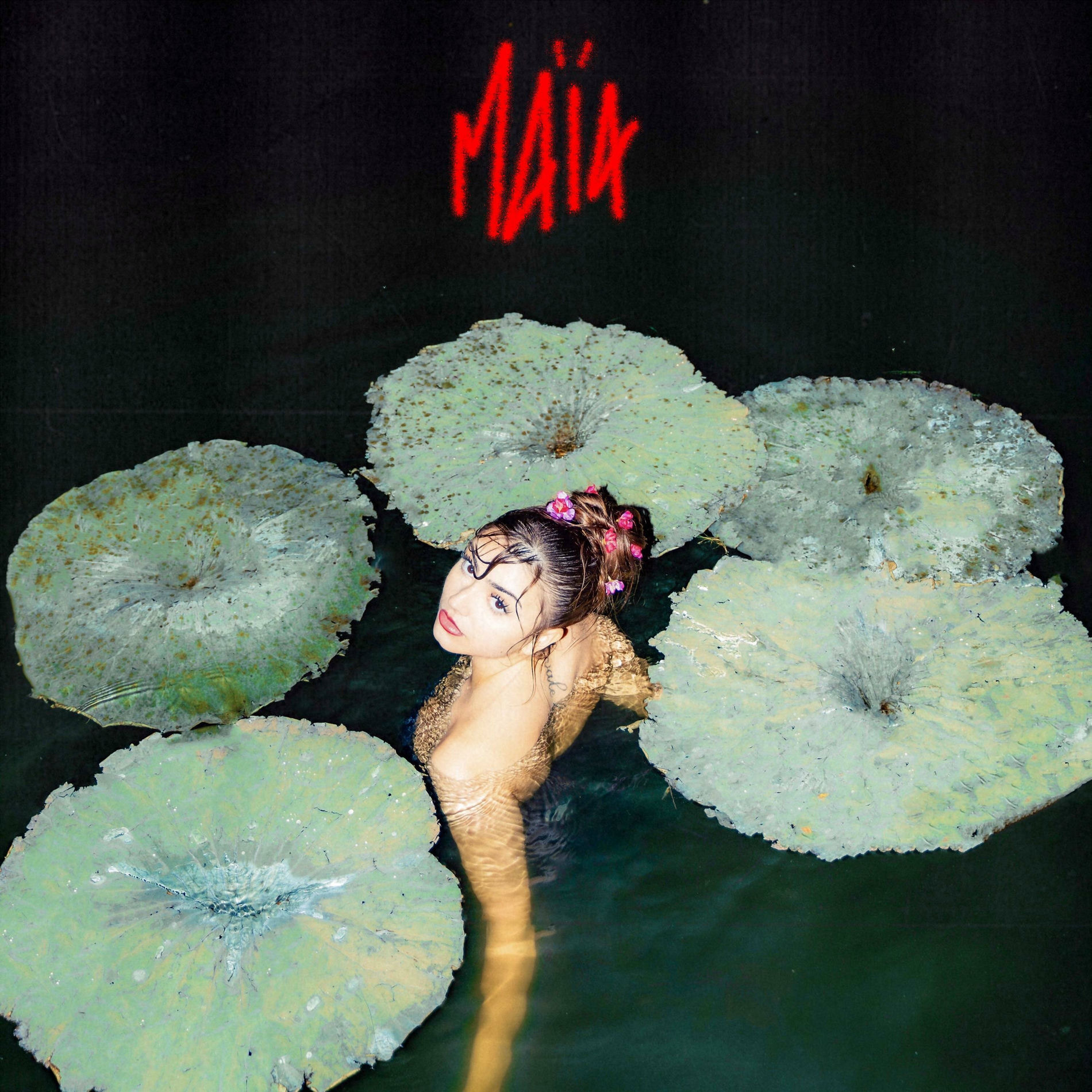 Album cover of Intimate Whispers