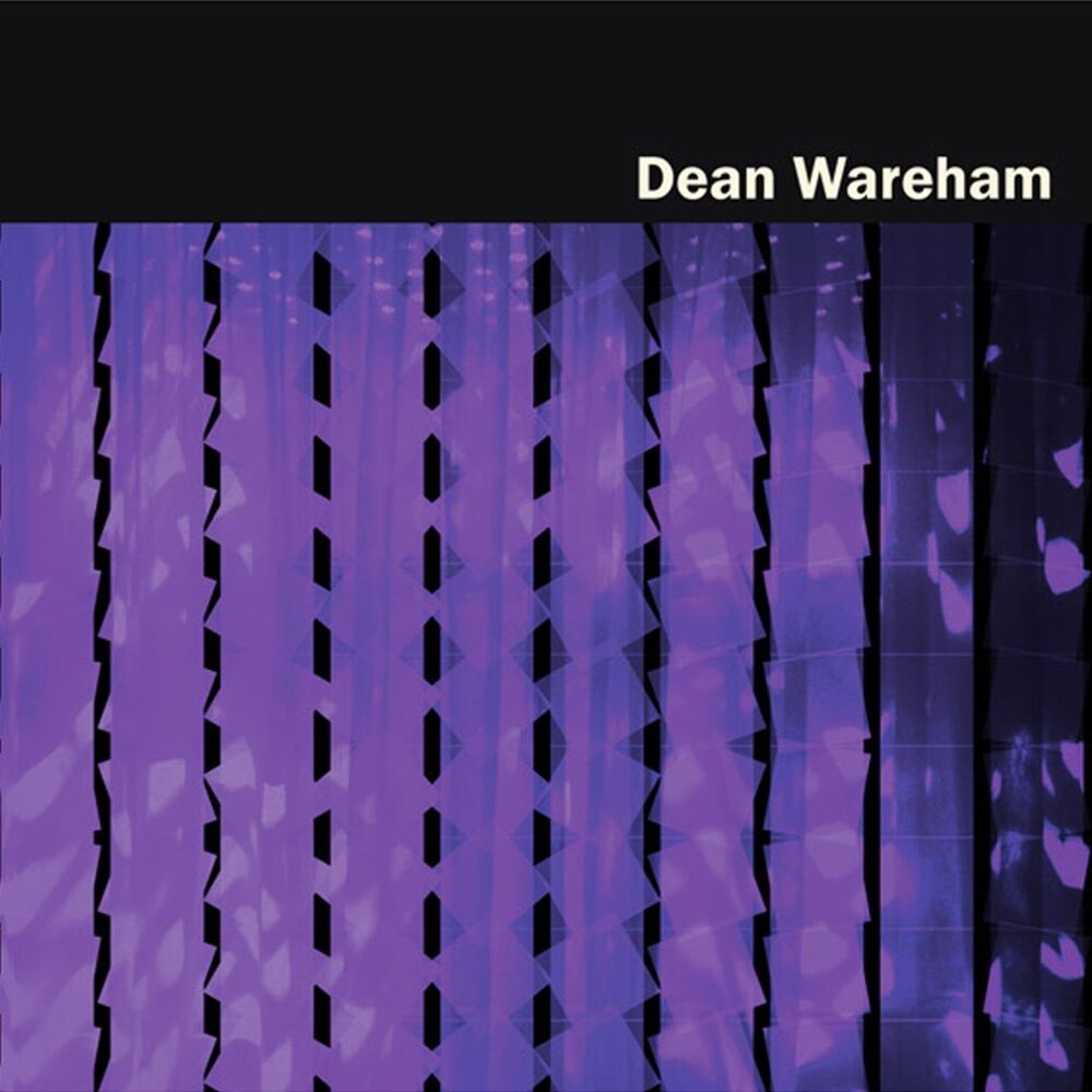 Picture of Dean Wareham