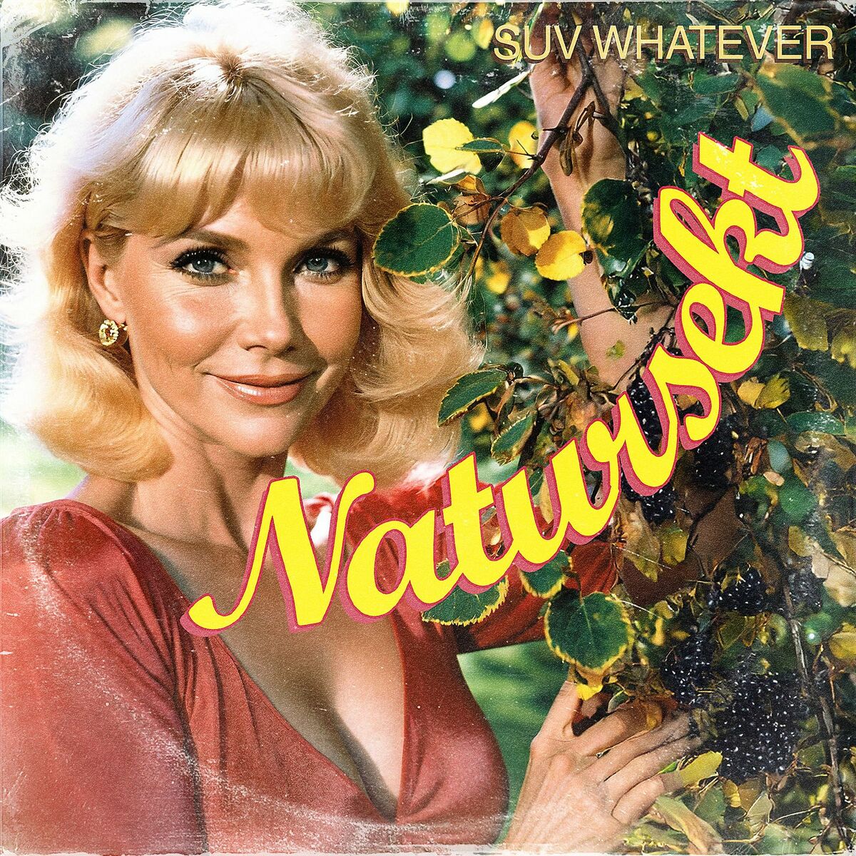 Album cover of Natursekt