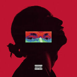 Cover of Amina