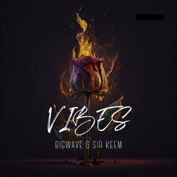 Cover of Vibes