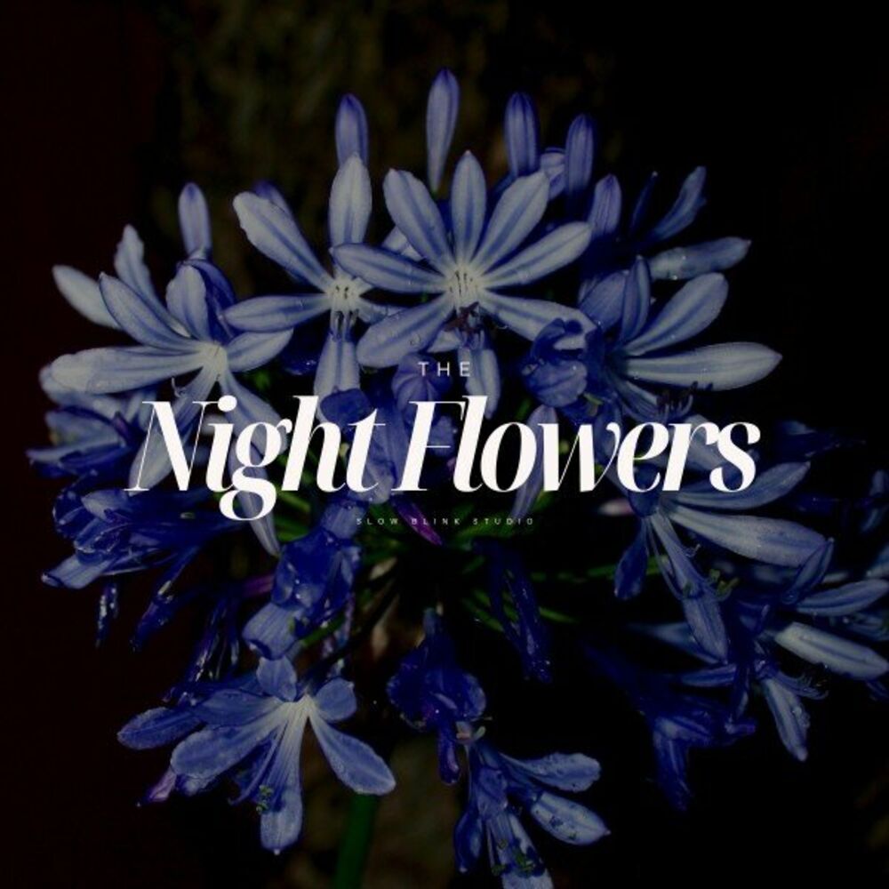 Picture of The Night Flowers