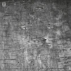 Cover of Onimikìg