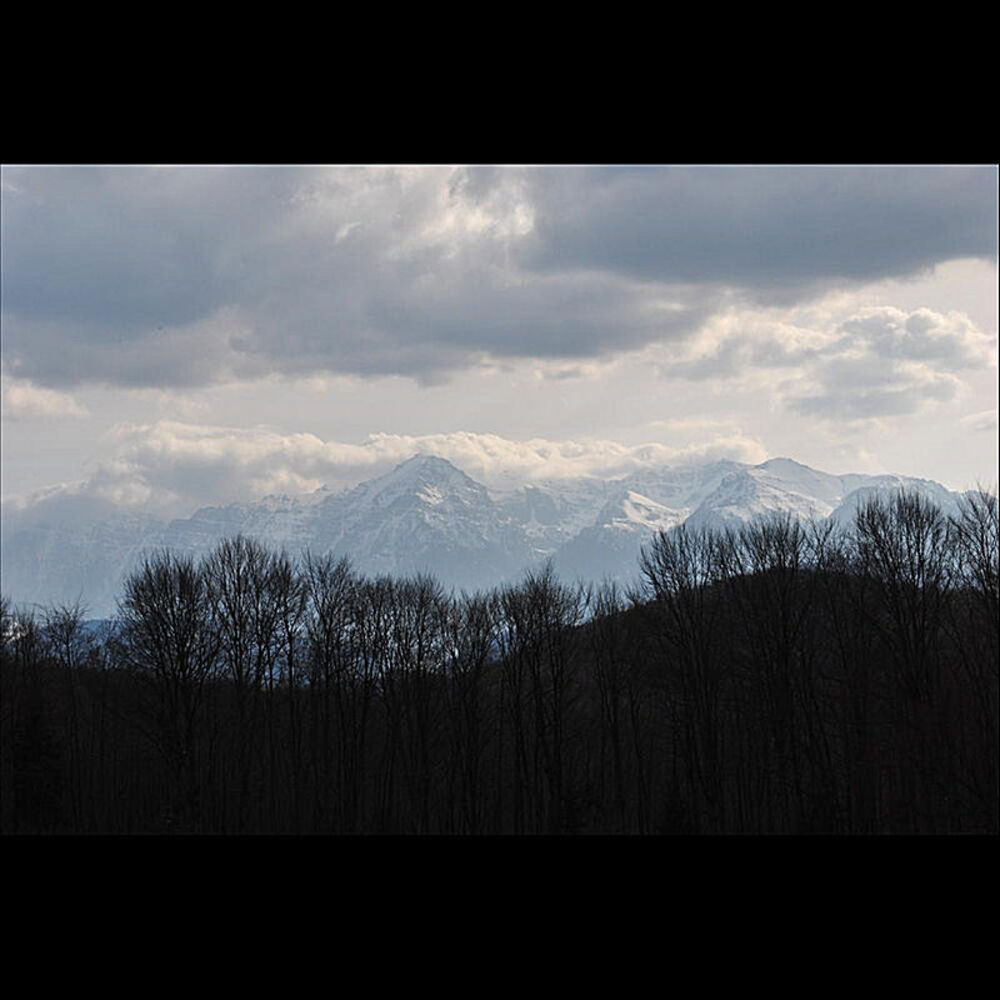 Picture of Sunroad