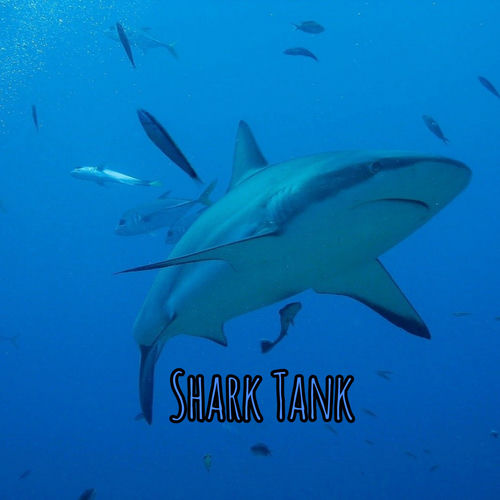 Shark Tank cover art