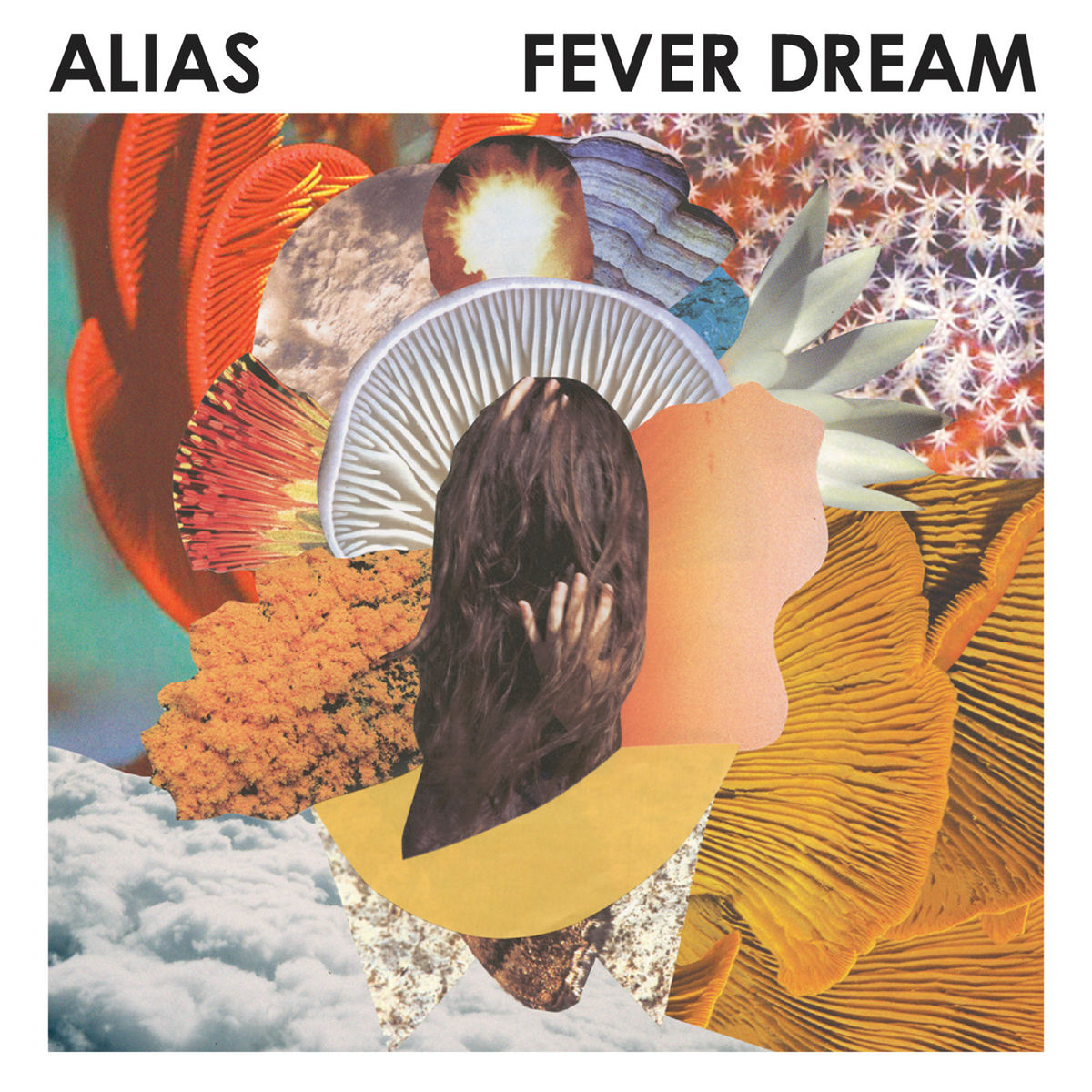 Album cover of Fever Dream