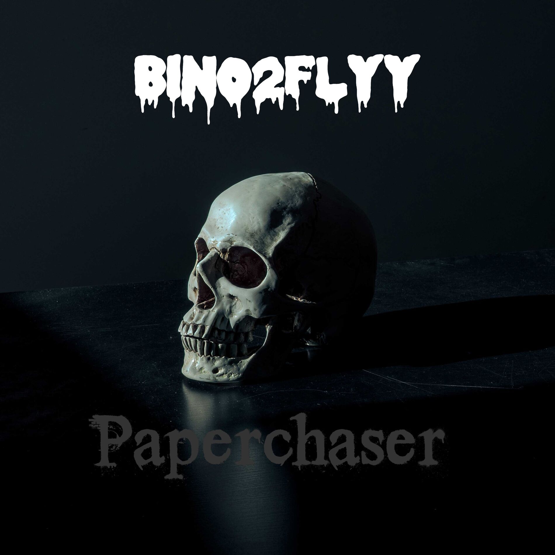 Album cover of Paperchaser