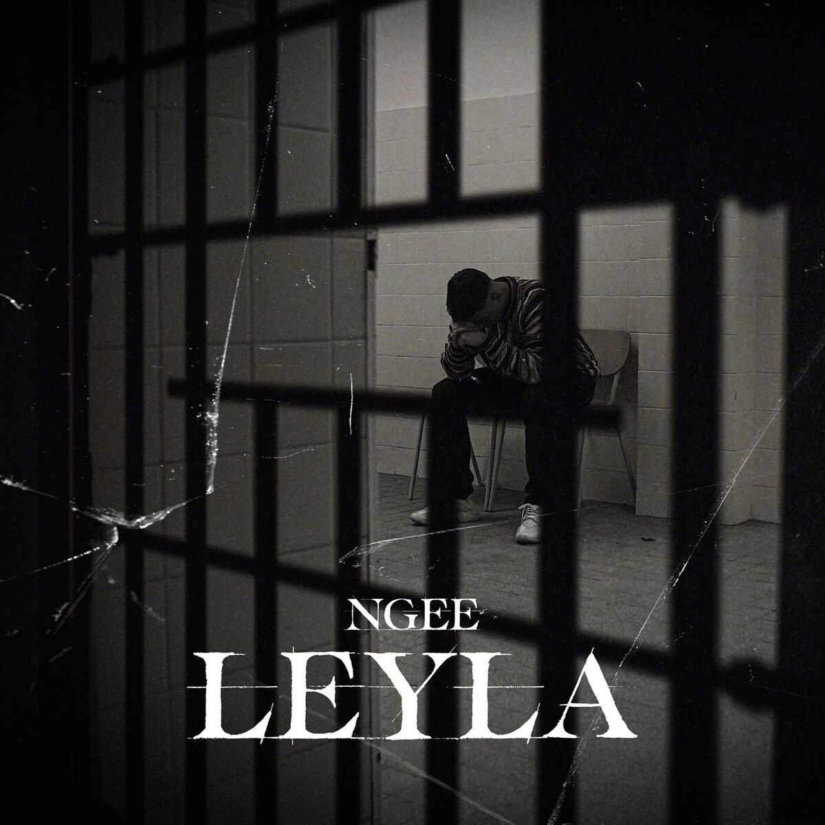 Album cover of LEYLA