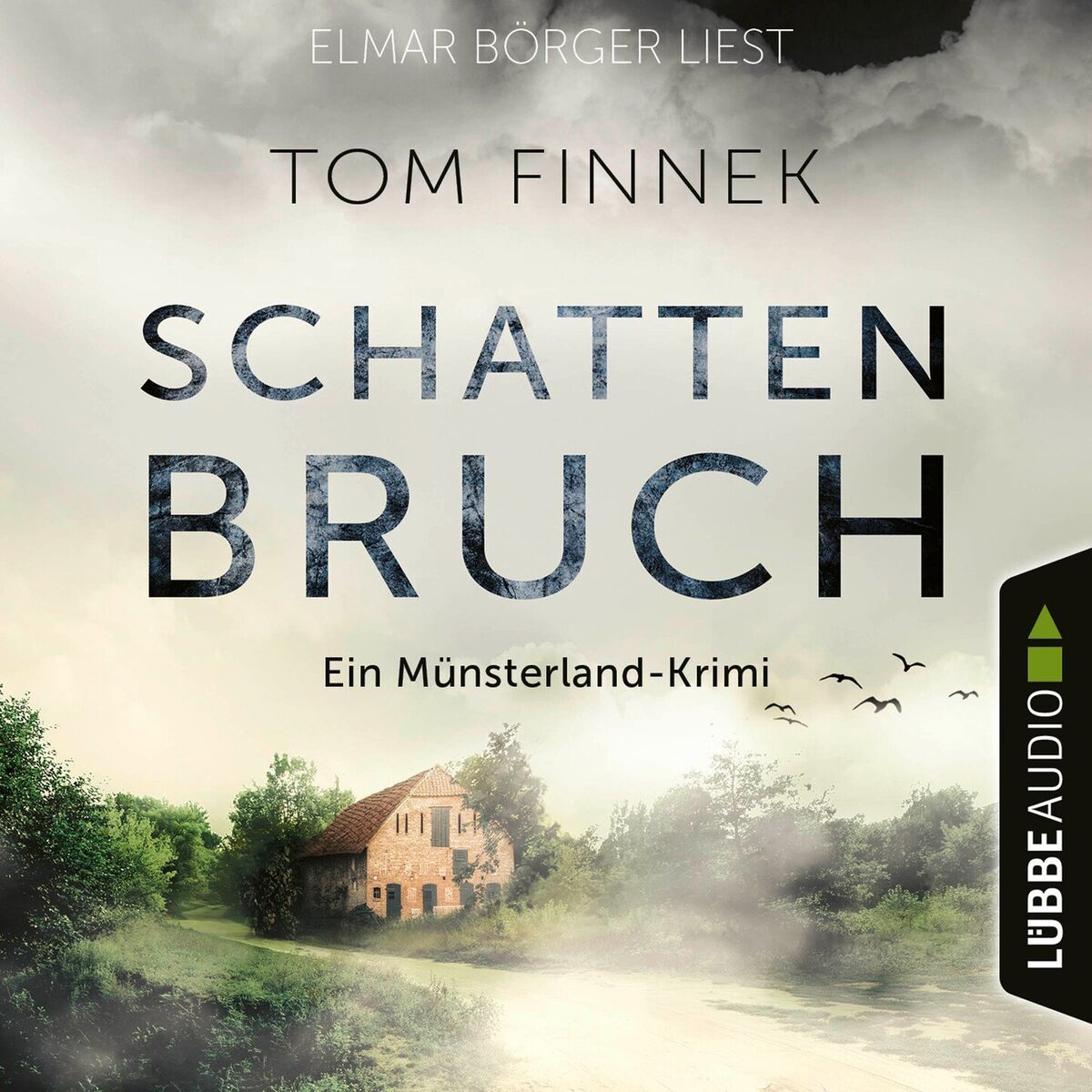 Album cover of Schattenbruch - Der letzte Fall für Tenbrink und Bertram - Münsterland-Krimi, Teil 7 (Ungekürzt)