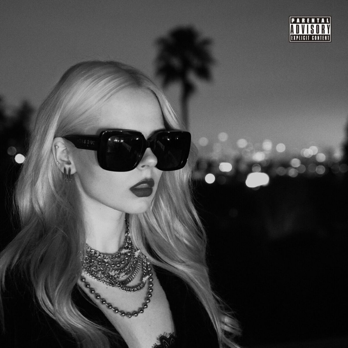 Album cover of InternetStar