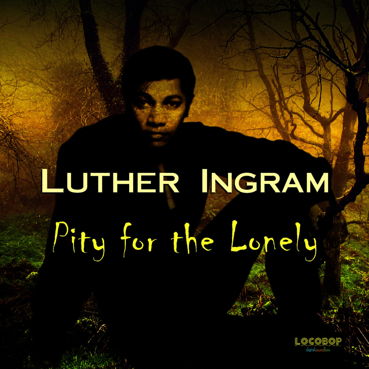 Album cover of Pity For The Lonely