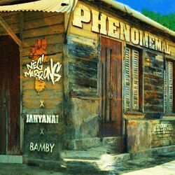 Cover of Phenomenal