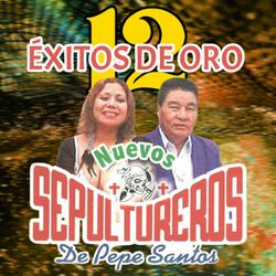 Cover of 12 Exitos de Oro