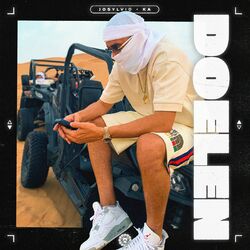 Cover of Doelen