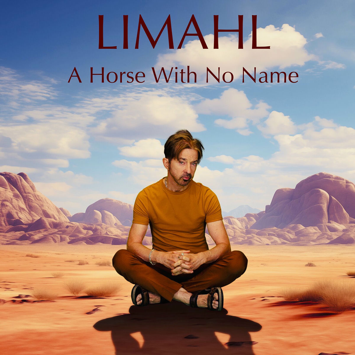 Album cover of A Horse With No Name