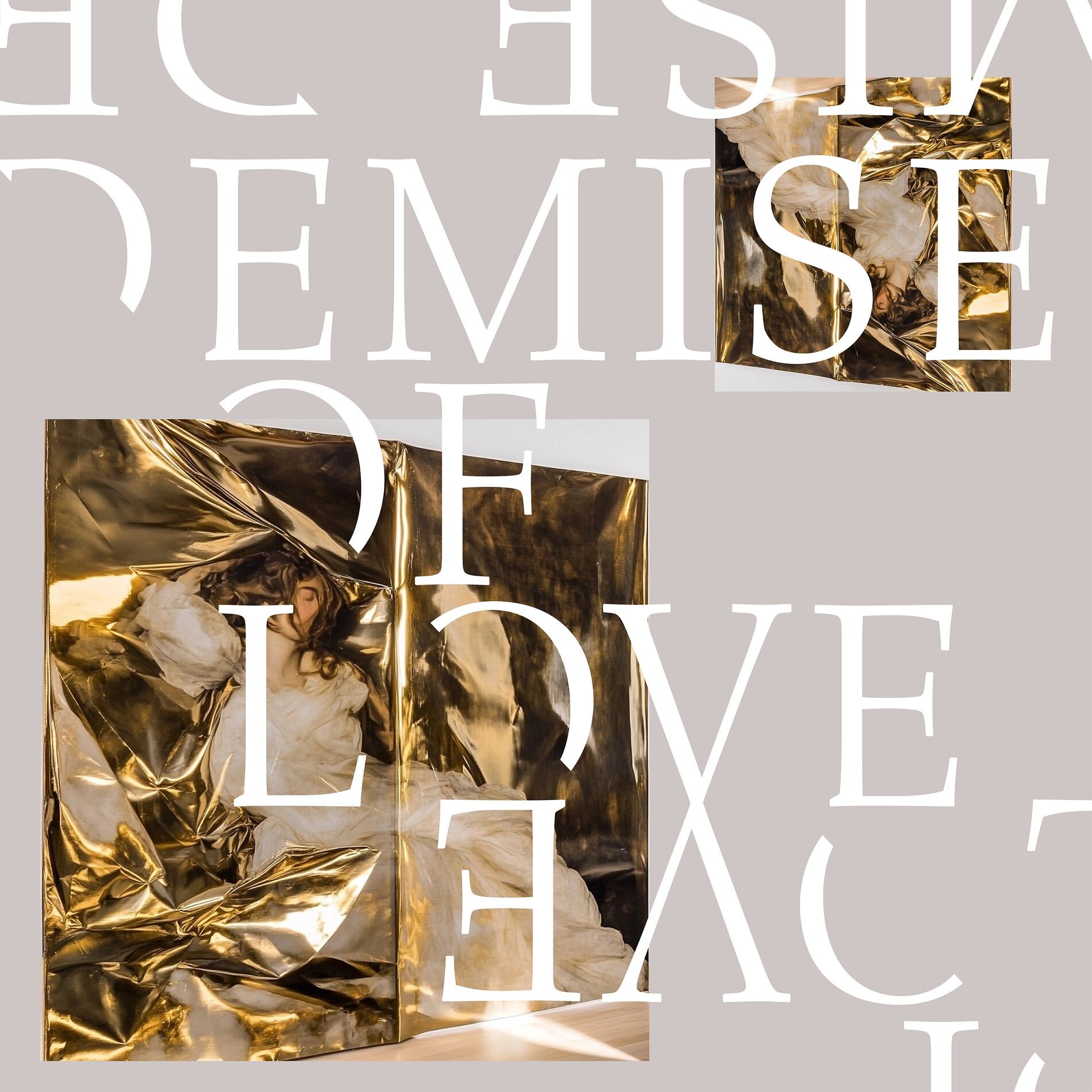 Album cover of Demise Of Love