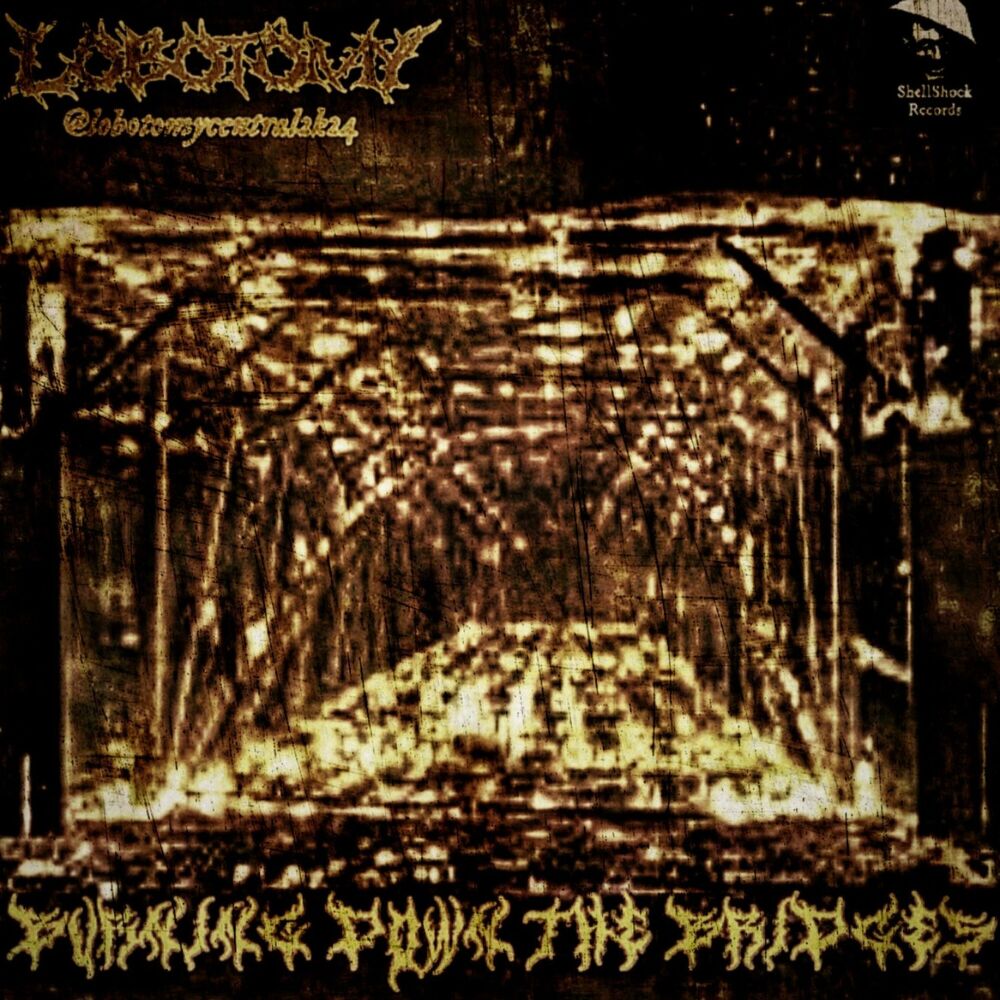 Picture of BURNING DOWN THE BRIDGES