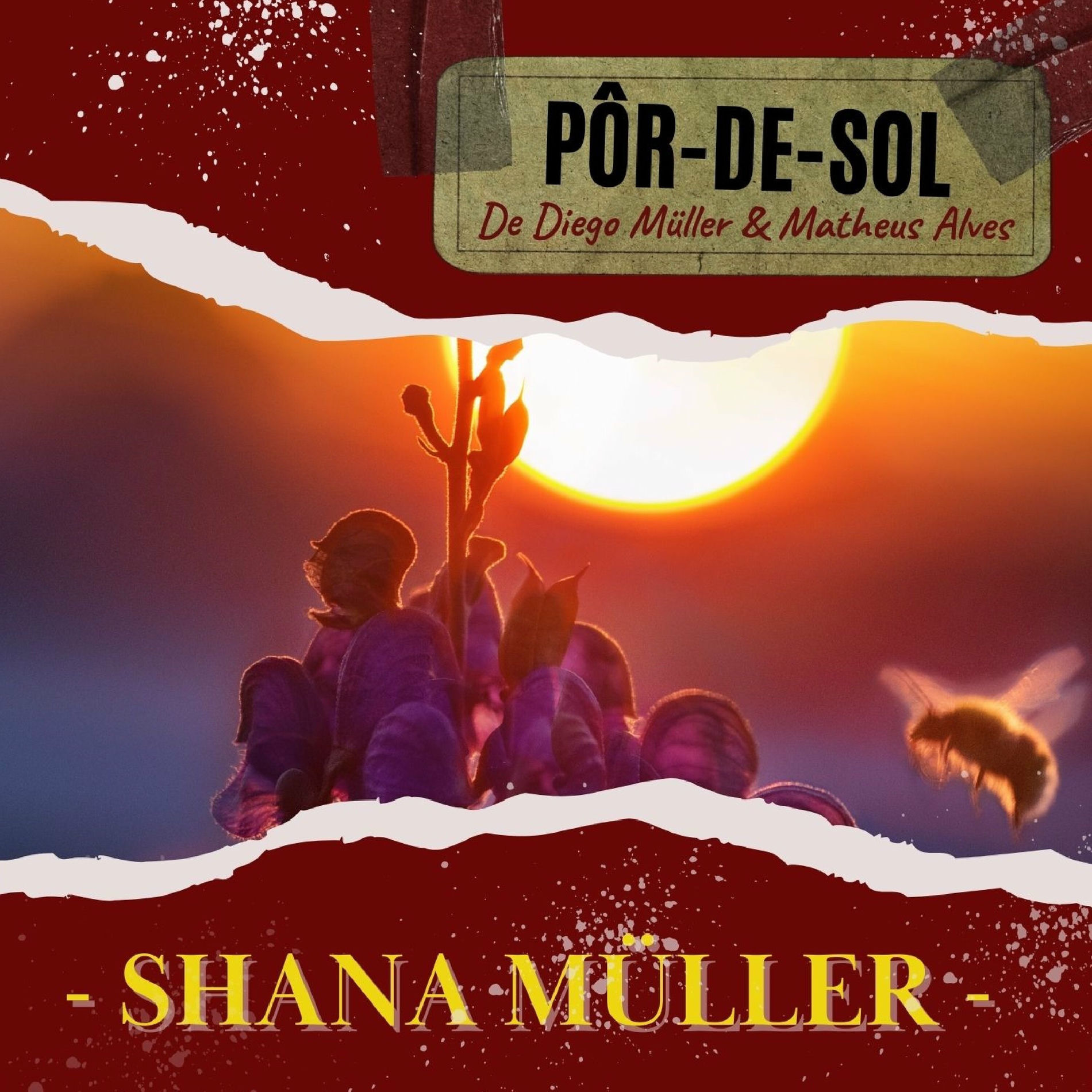 Album cover of Pôr-De-Sol