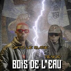 Cover of Bois de l´eau
