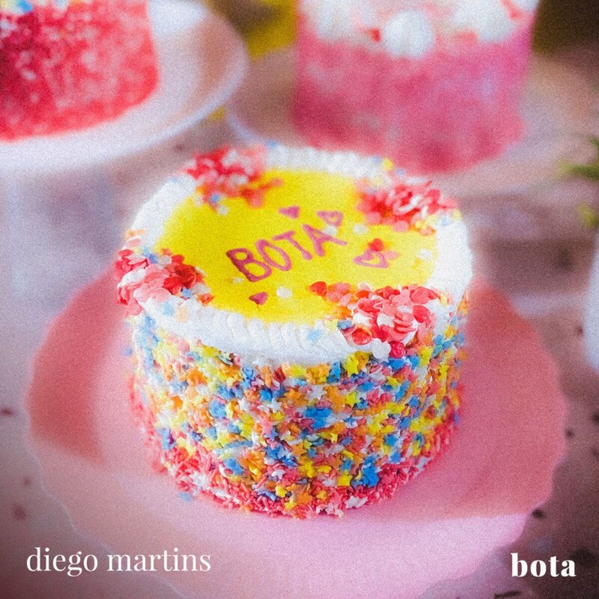 Album cover of BOTA