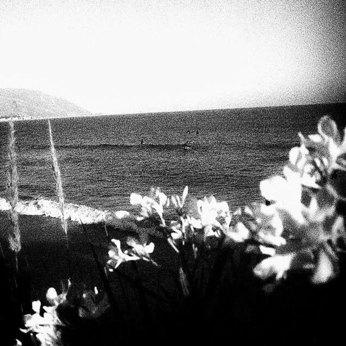 Album cover of Night , Blooming Jasmine .