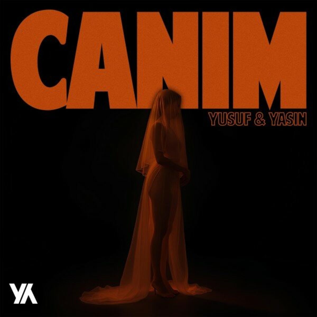 Album cover of CANIM