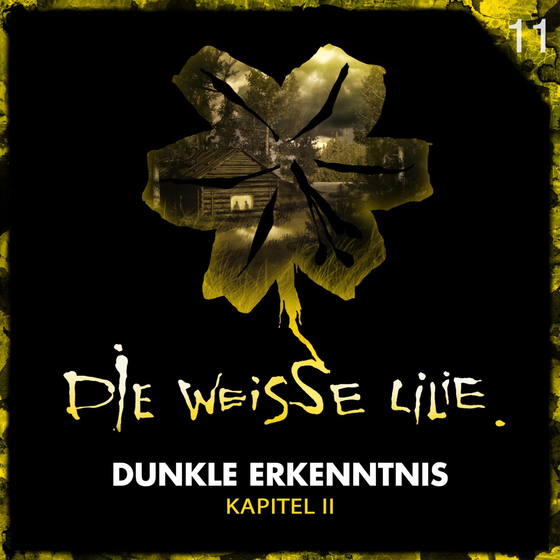 Album cover of 11: Dunkle Erkenntnis - Kapitel II
