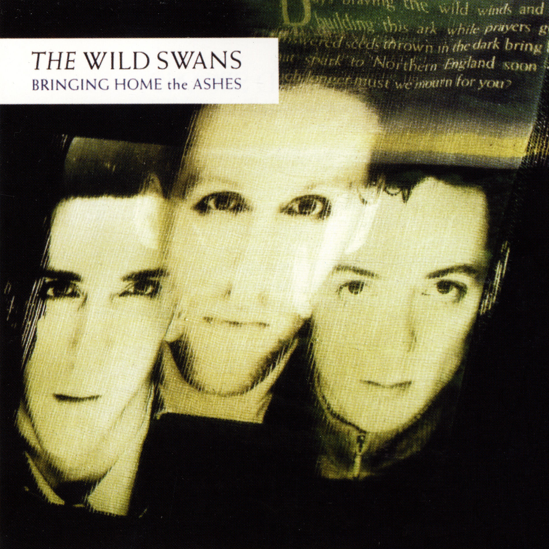 The Wild Swans: albums, songs, concerts | Deezer