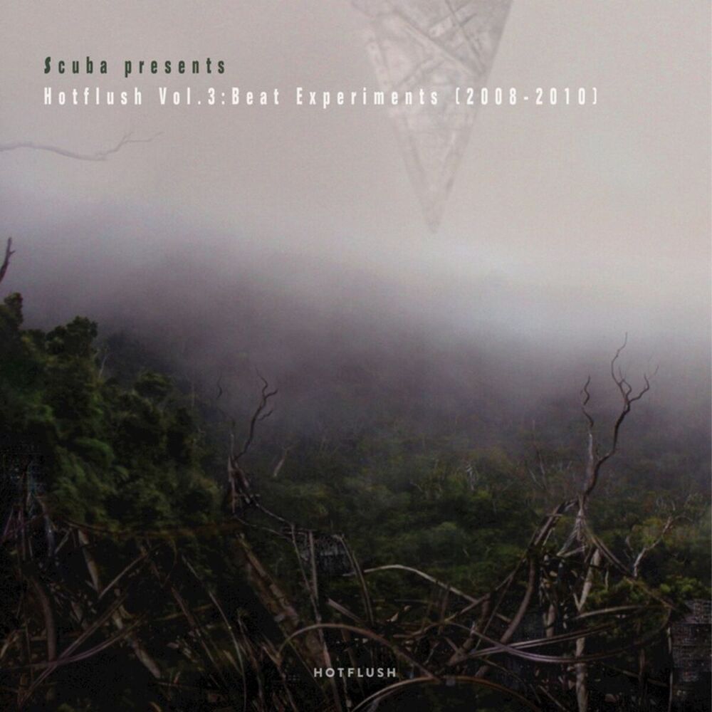 Picture of Hotflush, Vol. 3: Beat Experiments (2008 - 2010)