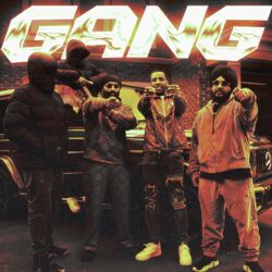 Cover of Gang