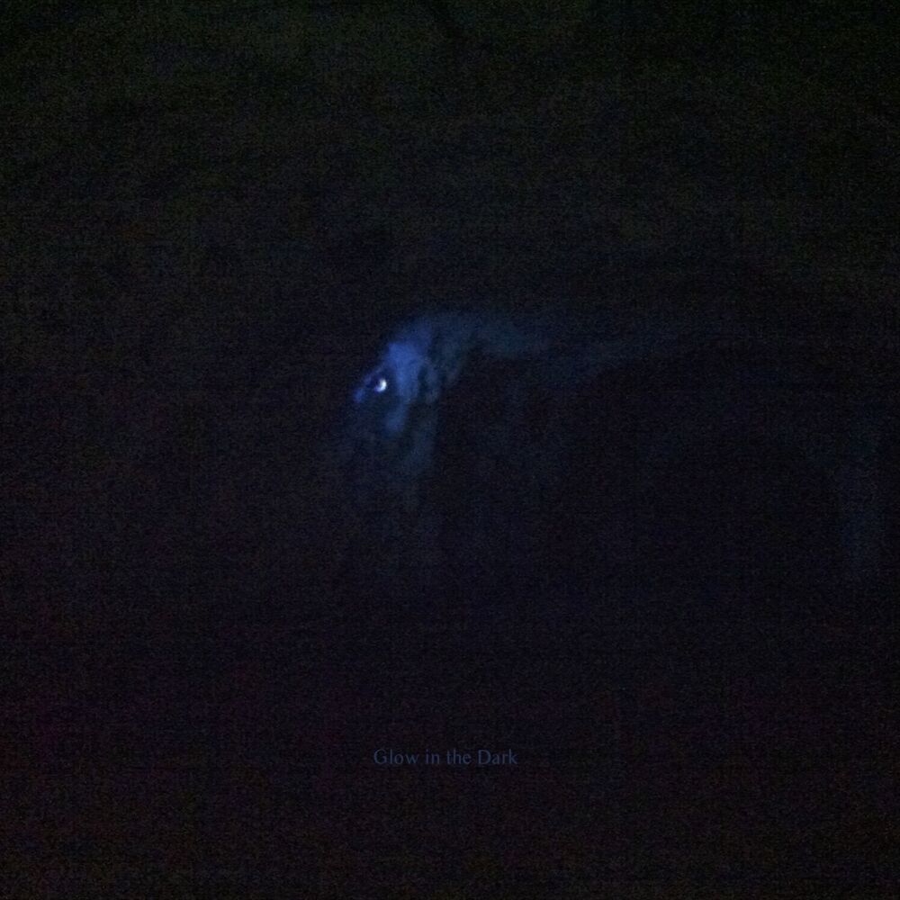 Picture of Glow in the Dark