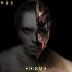 Cover of Prisms