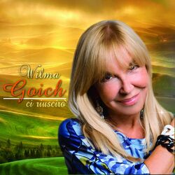 Cover of Ci riuscirò