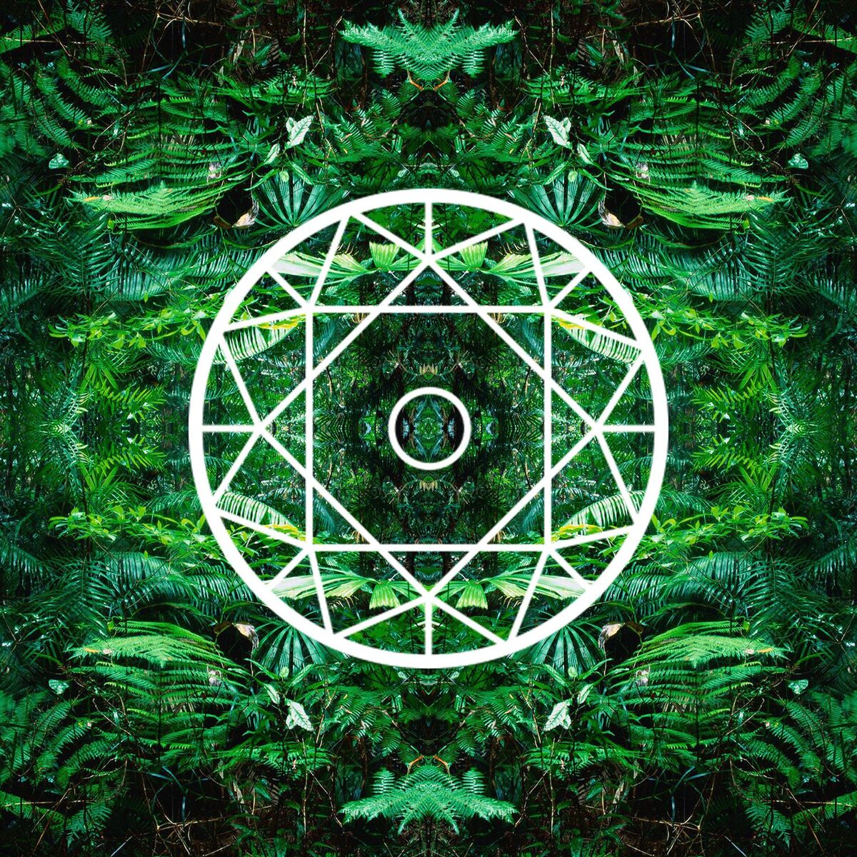 Album cover of Luck