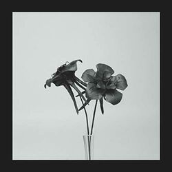 Cover of Dark Lotus