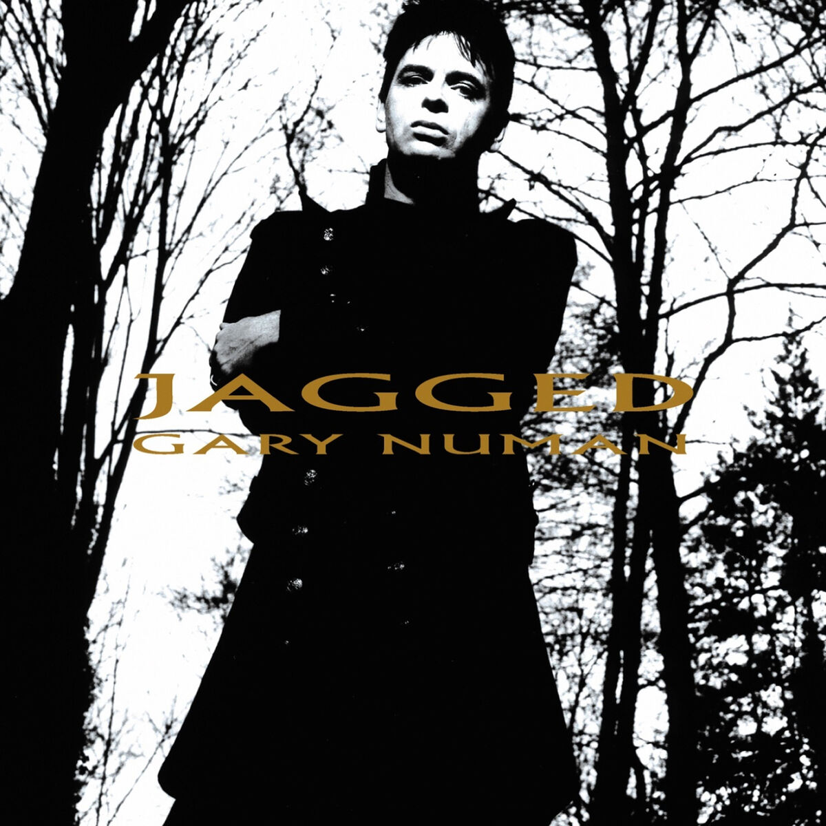 Album cover of Haunted