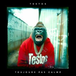 Cover of Toujours pas calmé