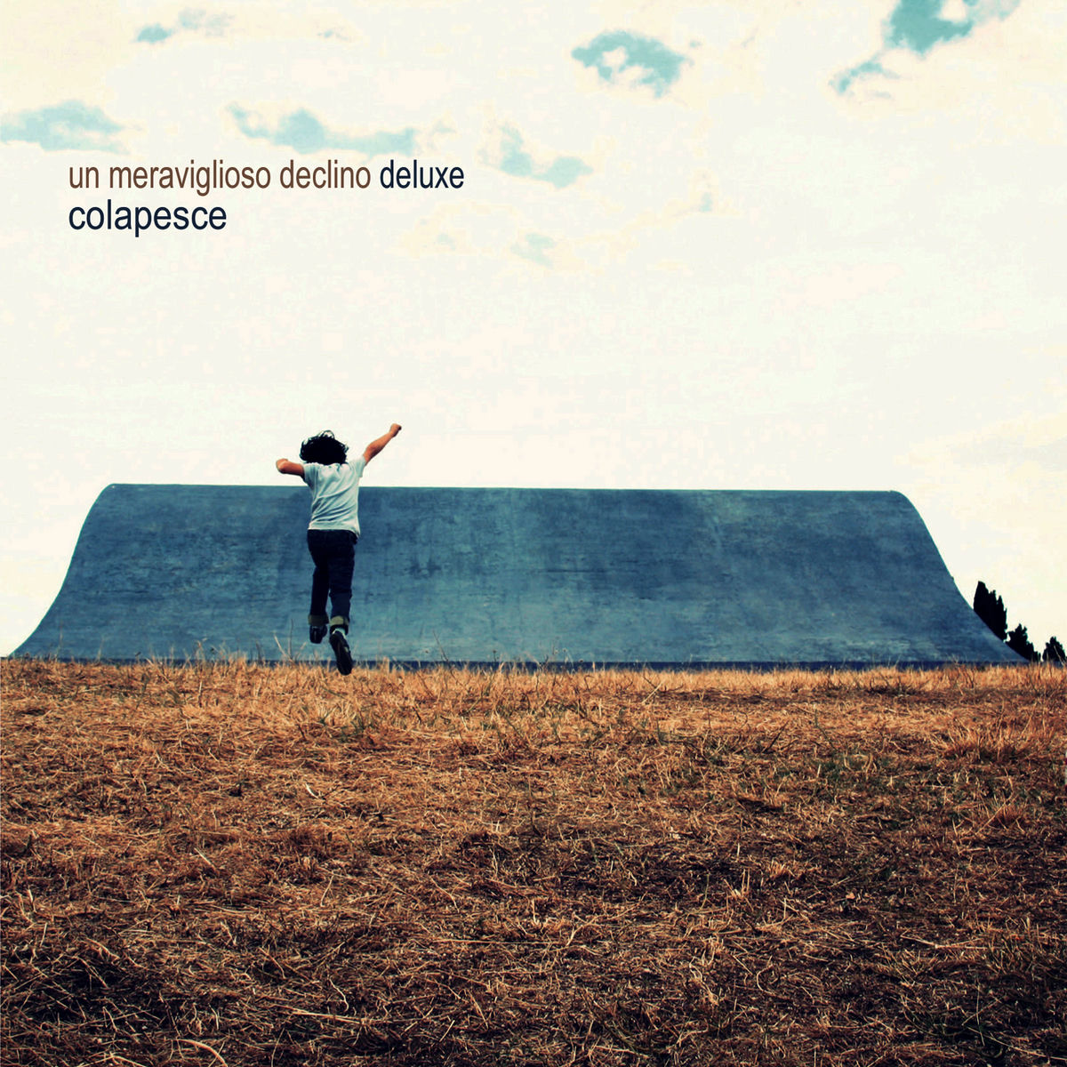 Album cover of Un meraviglioso declino (Deluxe Edition)
