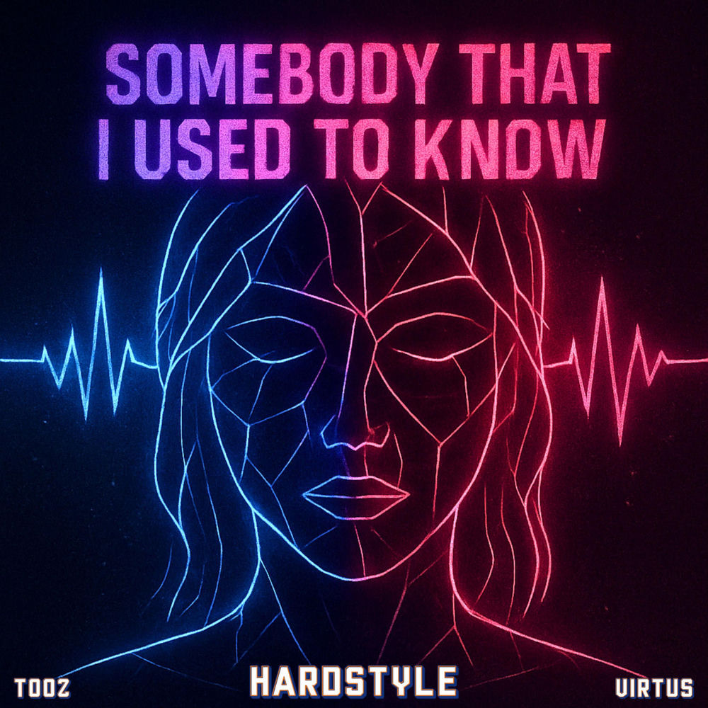 Somebody That I Used To Know (Hardstyle)