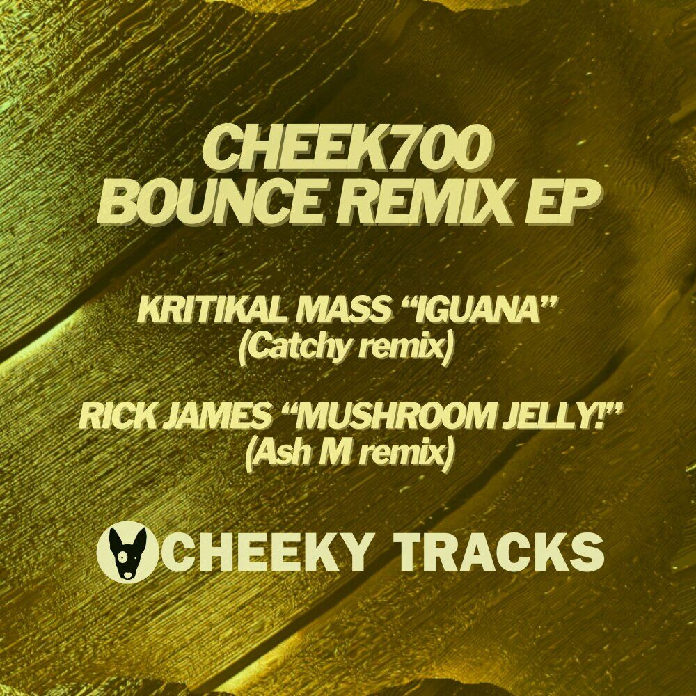 Picture of Bounce Remix EP
