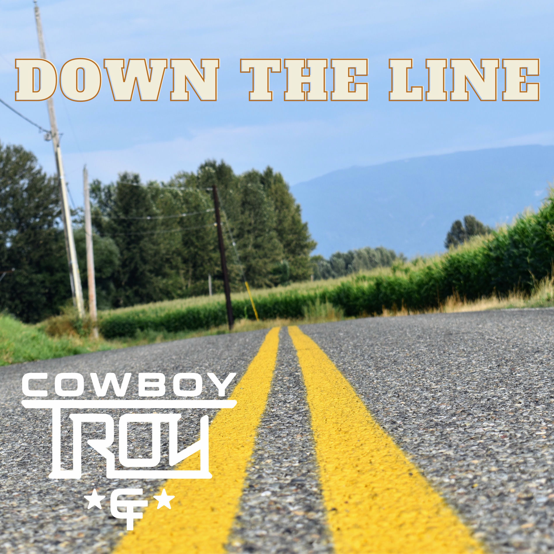 Album cover of Down the Line