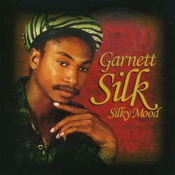 Cover of Silky Mood