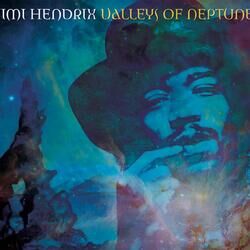 Cover of Valleys Of Neptune
