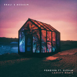 Cover of Forever (feat. Elohim) (Laxcity Remix)